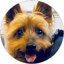 Steven Brnovic profile picture