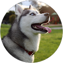 Stella W profile picture